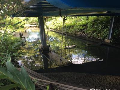 Hua Cyuan Organic Recreation Farm
