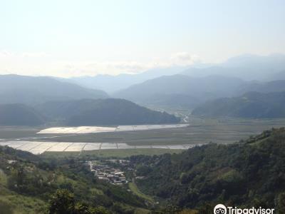 玉兰茶园