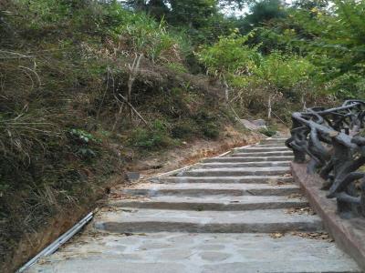 莲花池步道