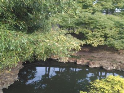 百吉林荫步道