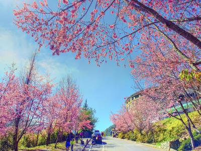 武陵农场