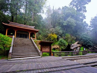 阿里山神木区