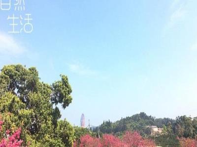 湖光山舍