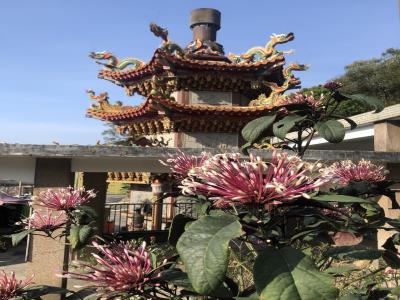 寿山岩观音寺