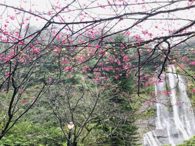 乌来区