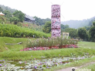 春天农场