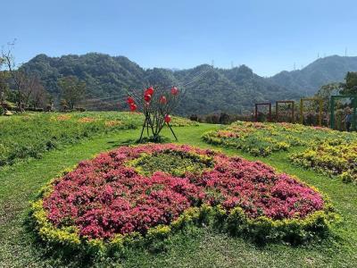 台湾大溪花海农场