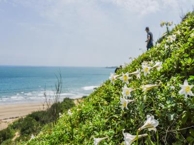 白沙湾