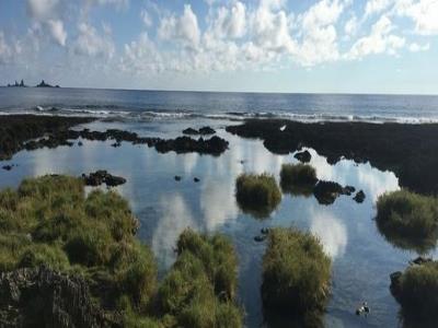 野银冷泉