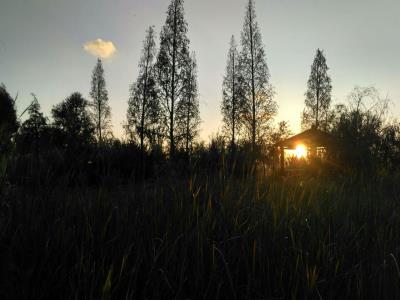 南仁山生态保护区