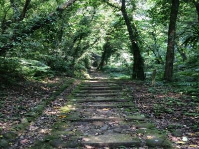 Teng Ping Trail