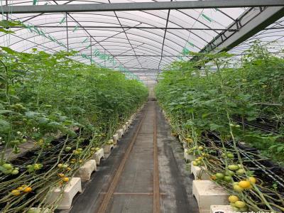 Jin Yong DIY Recreation Farm