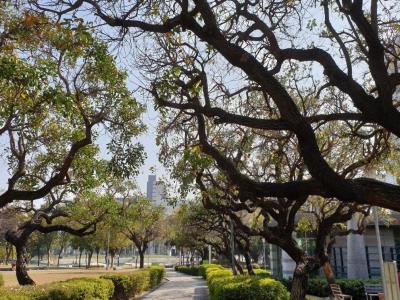 Taichung Zhongzheng Park