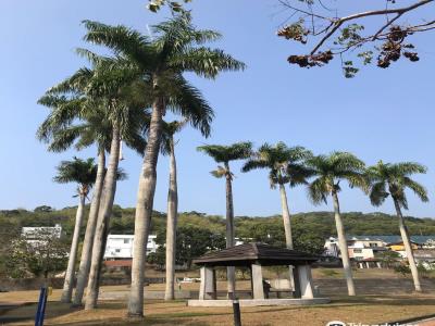 大坑地震公@