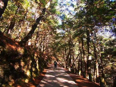 桃山瀑布步道