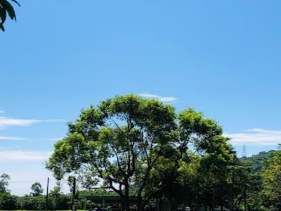南澳农场