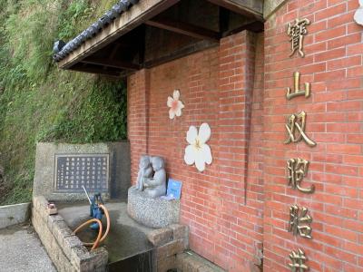 宝山双胞胎井