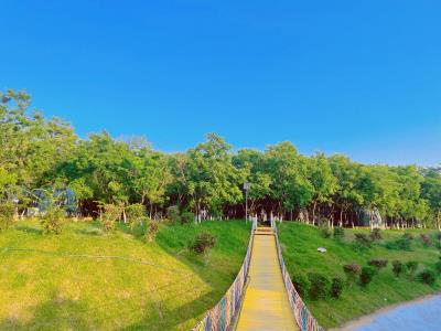 海南花梨谷文化旅游区