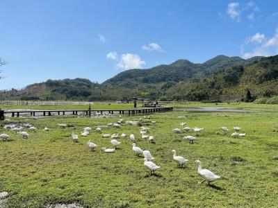 桥海牧场