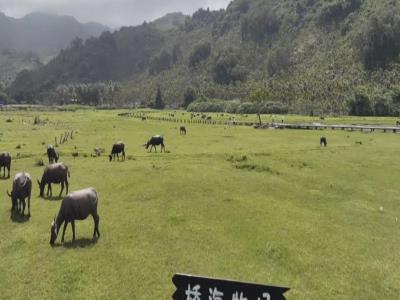 桥海村