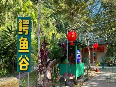 兴隆鳄鱼谷