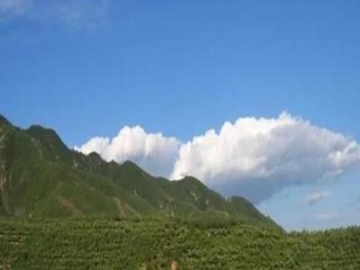 会山森林自然保护区