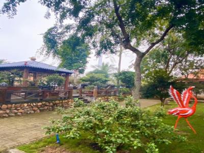 春晖椰子加工观光基地