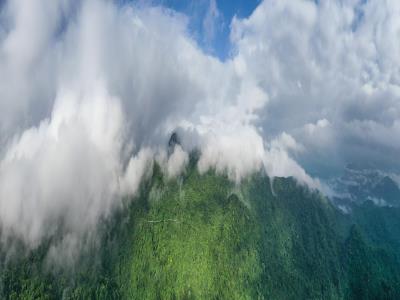 黎母山森林公园