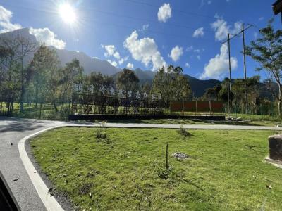 鹦歌岭