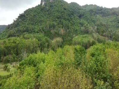 卧龙山