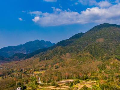坝王岭
