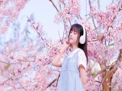 博鳌樱花园