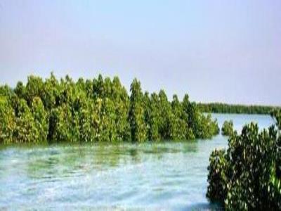 海南海上森林公园