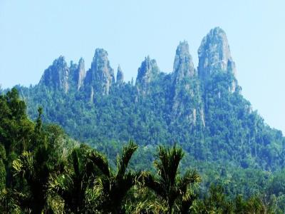 七指岭