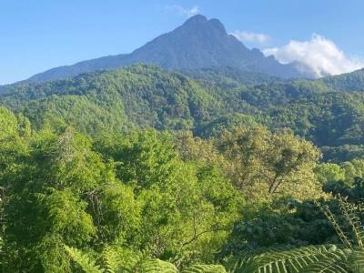 五指山翡翠山