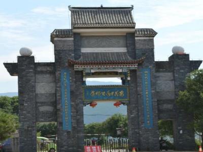 水南村