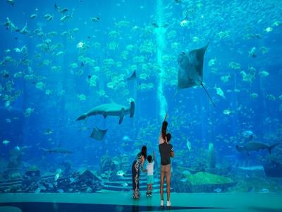 三亚亚特兰蒂斯失落的空间水族馆