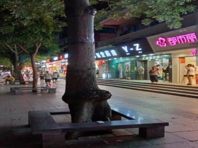 霞山民享路步行街