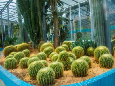 南亚热带植物园