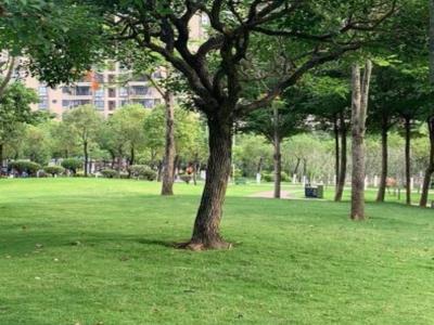 南香公园