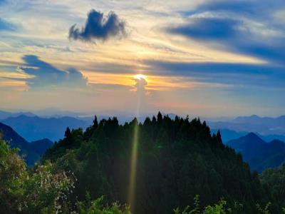 六万大山森林公园
