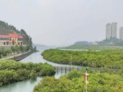 防城港市江山乡石角村珍珠湾红树林保护区