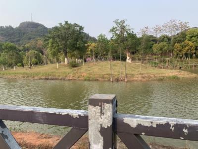 玉林湿地公园