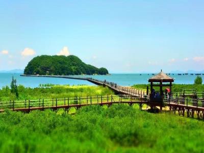 海陵岛红树林国家湿地公园