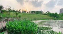 白沙公园6