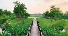 白沙公园7