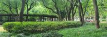东湖绿地3