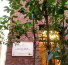 中华学艺社旧居3