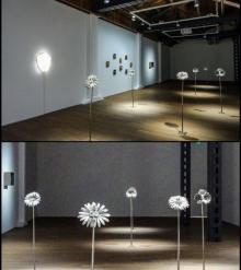 贝浩登画廊「未来植物集」展12