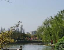 银翔湖公园5